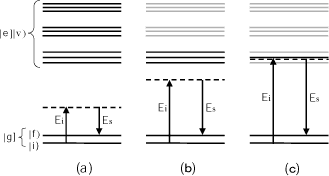 Fig.5