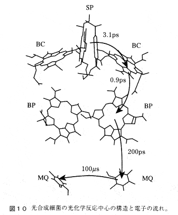Fig. 10