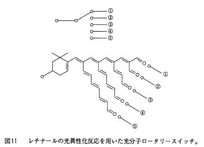 Fig. 11