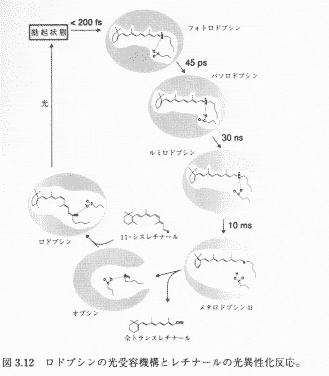 Fig. 12