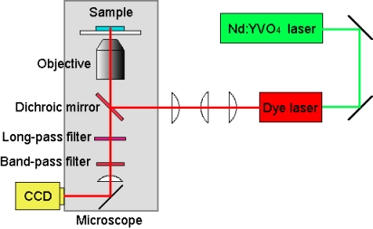 Fig. 3