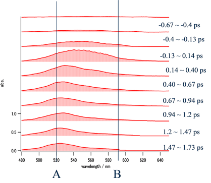Fig. 3