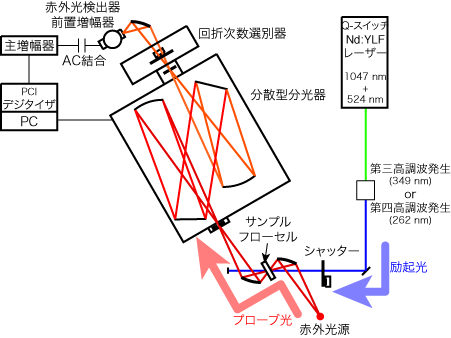 Fig. 1